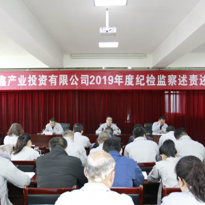 公司召開2019年度紀檢監(jiān)察工作述責述廉會
